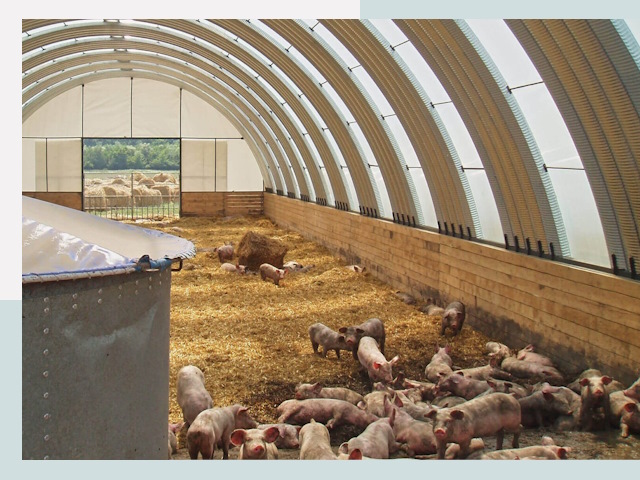 Строительство свинарников в Нефтекамске