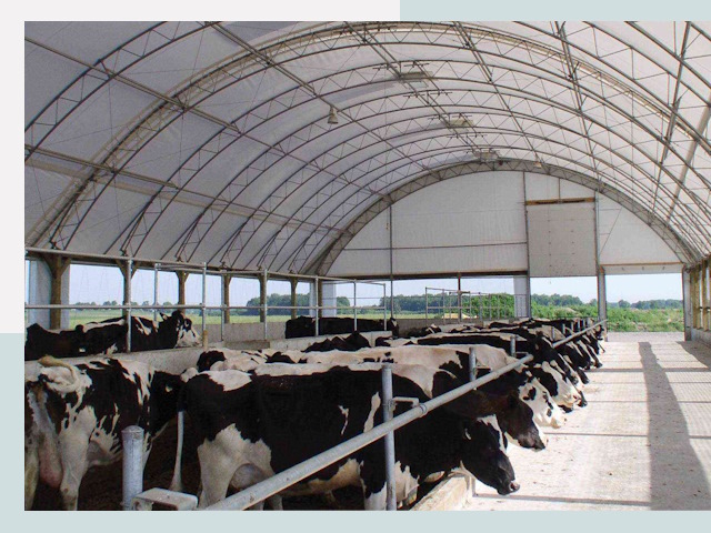 Тентовые коровники в Нефтекамске